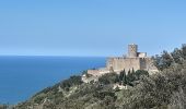 Tocht Stappen Collioure - autour de Collioure a travers les vignes - Photo 8