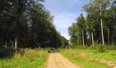 Randonnée Marche Dampleux - en forêt de Retz_82_sur les Routes de la Bruyère aux Loups et de la Chrétiennette - Photo 2