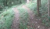 Trail Mountain bike Saint-Cergues - essai St cergues 22-07 - Photo 2