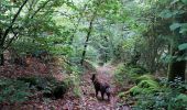 Trail Walking Cros - Le pont du diable, en p1rtant du gîte aux milles fleurs - Photo 3