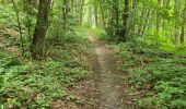 Tocht Stappen Saint-Chéron - Saint-Cheron - l'Orge - Photo 19