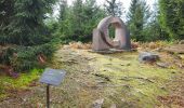 Percorso Marcia Wisches - Wisches - circuit 2 des sculptures - Photo 6