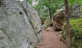 Tocht Stappen Fontainebleau - Bourron-Marlotte sentier Denecourt 11 - Photo 10