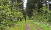 Trail Walking Furtwangen im Schwarzwald - La source du Danube - Photo 5