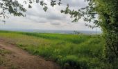 Tour Wandern Gouaix - petite randonnée bois de GOUAIX - Photo 9