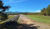 Trail Walking Montbel - Barage lac de Monbel - Photo 1