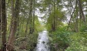 Tour Zu Fuß Krausnick-Groß Wasserburg - Wanderweg Krausnik-Groß Wasserburg-Köthen (grüner Balken) - Photo 6