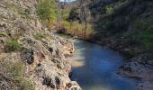 Trail Walking Callas - callas - Photo 2
