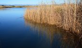 Trail Walking Fréjus - Etangs des Esclamandes et de Villepey - Photo 7