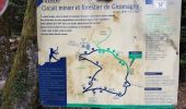 Trail Walking Lepuix - Giromagny - sentier des mines - 2 à visiter - Photo 17