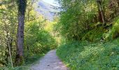 Tour Wandern Villard-Saint-Sauveur - cascade de flumen - saut du chien - retour en partie par la route  - Photo 6