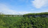 Tour Wandern Baume-les-Messieurs - A la découverte de Baume-les-messieurs 🥾 - Photo 11