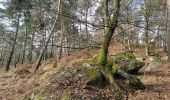 Tocht Stappen Moret-Loing-et-Orvanne - veneux les sablons par rocher brûlé  - Photo 1