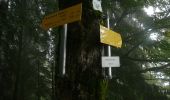 Tocht Te voet Oberaudorf - Weg Nr. 7 - Brünnstein - Oberaudorf/Hocheck - Photo 5