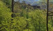 Trail Walking Niedersteinbach - Froensbourg - Photo 11
