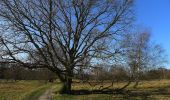 Tour Zu Fuß Unbekannt - Dünenweg [Boberger Niederung] - Photo 7