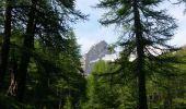 Tocht Stappen Le Monêtier-les-Bains - Le Monêtier  - Pas de l'âne  - Photo 4