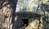 Trail Walking Laure-Minervois - Laure Minervois les Capitelles - Photo 17