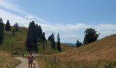 Randonnée Marche Prémanon - col de la porte et de la Dole - Photo 6