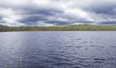 Percorso A piedi Saarijärvi - Kotajärven polku - Photo 1