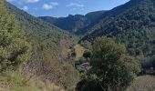 Tocht Stappen Vallon-Pont-d'Arc - cascade de pissevieille  - Photo 20