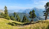 Excursión Senderismo Faverges-Seythenex - SAMBUY PAS DE L'OURS - Photo 6