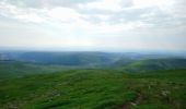 Randonnée Marche Albepierre-Bredons - Cantal - Col de Prat de Bouc Le Plomb du Cantal - 8.2km 450m 2h45 - 2019 07 06 - Photo 3