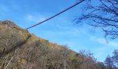 Tocht Stappen Mörsdorf - pont suspendu de Geierlay - Photo 10