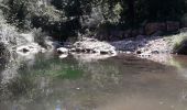 Trail Walking Callas - gorge de Penafore - Photo 2