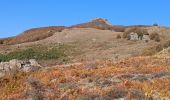 Tour Wandern Cambia - San Pétrone boucle de Loriani - Photo 1