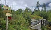 Tour Wandern Chamonix-Mont-Blanc - J8 - Cascade du Dard - Photo 4