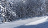 Tocht Sneeuwschoenen La Pesse - L'Embossieux - Crêt de Nerbier  - Photo 9