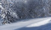 Tour Schneeschuhwandern La Pesse - L'Embossieux - Crêt de Nerbier  - Photo 9