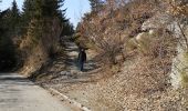 Tocht Noords wandelen Arbaz - bisse d'Ayen  - Photo 1