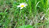 Randonnée Marche Gresse-en-Vercors - Le Pas de Serpaton - Photo 8