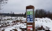 Trail Walking Waimes - 2022-01-17_19h54m20_p-avant-mutzenich - Photo 3