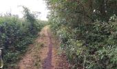 Trail Walking Genappe - Promelles 2020 06 09 - Photo 1