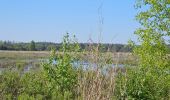 Tour Wandern Bergeijk - marais Hollande  - Photo 1