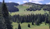 Tour Wandern Les Rousses - Mont Sala vue sur le Leman - Photo 1