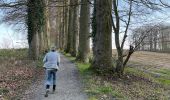 Tocht Stappen Bevekom - Meerdael et molendaal à partir de Hamme Mil - Photo 3