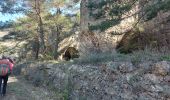 Excursión Senderismo Saint-Jean-du-Bruel - Le roc nantais - Photo 10