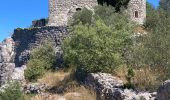 Trail Walking Berrias-et-Casteljau - Le bois de Païolive - Photo 3