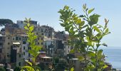 Tocht  Monterosso al Mare - Cinq terre monterosso>>vernazza>>corniglia  - Photo 2