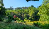 Trail Walking Bièvre - Balade à Bellefontaine - Bièvre - Photo 18