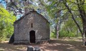 Trail Walking Flassan - la chapelle St Jean d après le P´tit Craphut - pays du Ventoux Dentelles de Montmirail - Photo 8