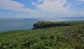 Excursión A pie Desconocido - Howth Cliff Walk - Photo 3