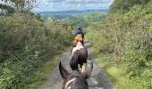 Trail Horseback riding Baztan - Elizondo - Urdax - Photo 6