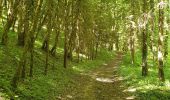 Tour Wandern Chaumont - Chaumont centre-Verbiesles-Ville aux bois-Chaumont - Photo 1