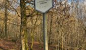 Tocht Stappen Bertrix - Champs des chenets - Photo 1