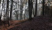 Trail On foot Sankt Peter am Ottersbach - 4-Berge-Weg - Photo 5